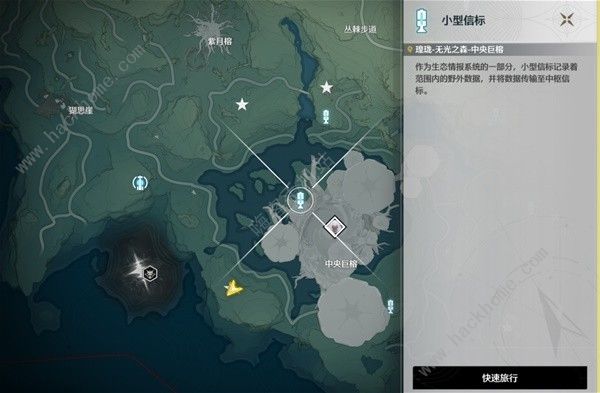 鸣潮无光之森生态调查探索攻略 六个无光之森生态调查在哪图片9