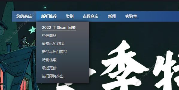 steam2022回顾在哪看 2022steam回顾查看地址分享[多图]图片3