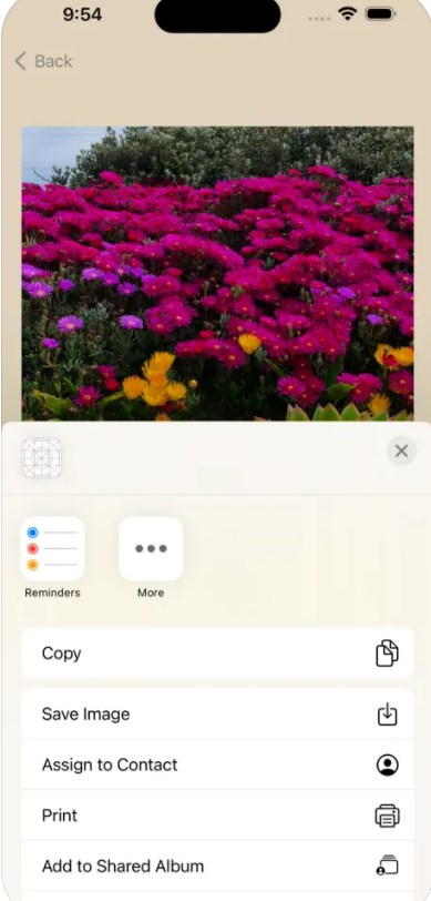 ImageTool软件下载免费版图片1