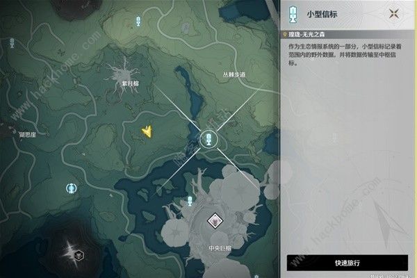 鸣潮无光之森生态调查探索攻略 六个无光之森生态调查在哪图片5