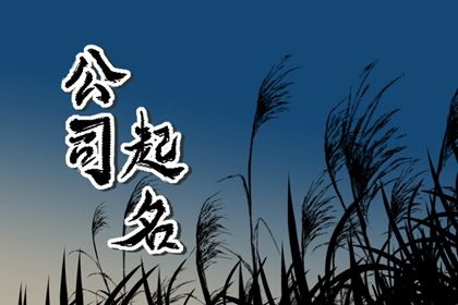 龙年创业好听时尚进出口公司起名