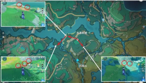 原神清水玉收集路线攻略 清水玉全采集路线图一览图片5