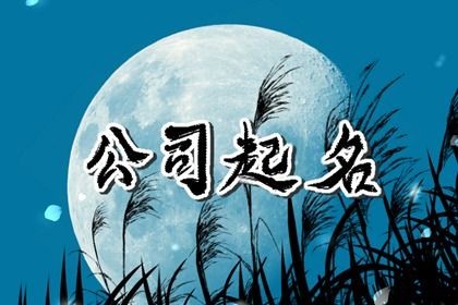 2024龙年好听有深意的企业名称大全