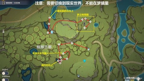 原神帕蒂沙兰新版采集位置大全 帕蒂沙兰最新采集路线一览图片6