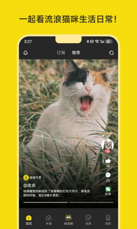 喵喵不易短视频软件官方下载图片1