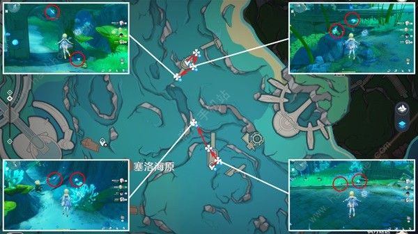 原神苍晶螺分布大全 苍晶螺收集路线图分享图片2