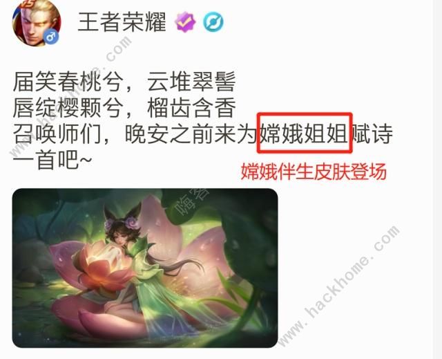 王者荣耀嫦娥伴生皮肤彩蛋 嫦娥伴生皮肤介绍图片1