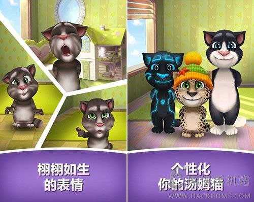 我的汤姆猫喂养版2016评测：我和安吉拉的新年约定图片2