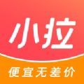 小拉出行乘客端app手机安卓版下载 v1.5.8