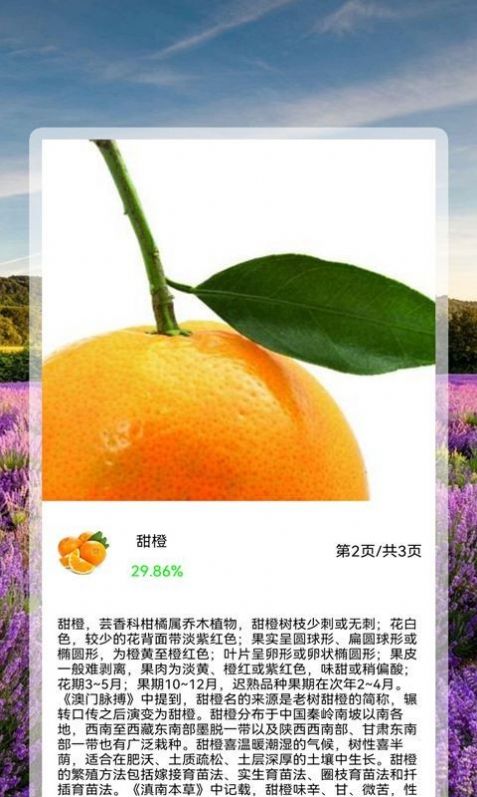 全能拍照识花精灵app手机版下载 v1.0.8