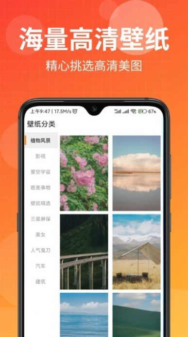 壁纸盒子纯净版下载官方app v1.0.0