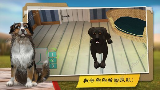 狗狗度假酒店DogHotel游戏官网中文安卓版 v1.9.3