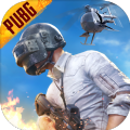 PUBGMOBILE国际服战栗逃生官方下载 v3.3.0