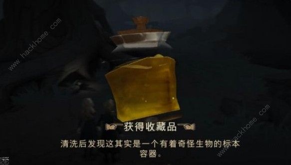 哈利波特魔法觉醒禁林机制是什么 禁林攻略大全图片2