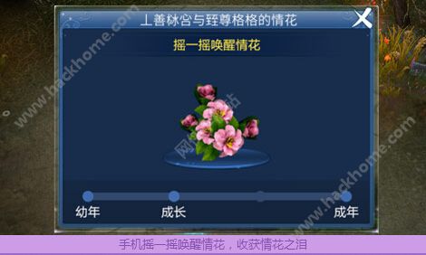 倩女幽魂手游刷情花之泪方法 花之灵犀活动流程大全图片4