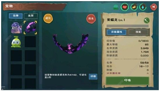 创造与魔法宠物怎么进化 宠物进化攻略​