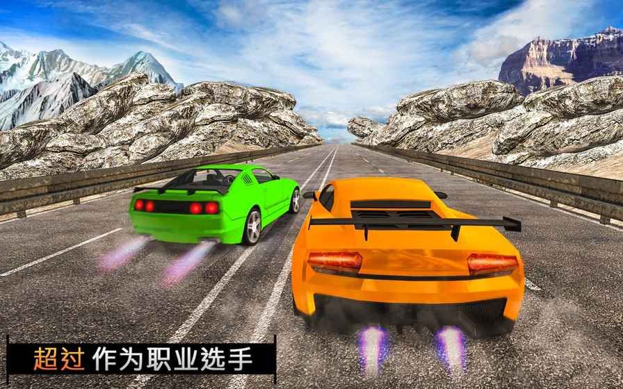 汽车赛跑发狂3D游戏安卓版 v1.0