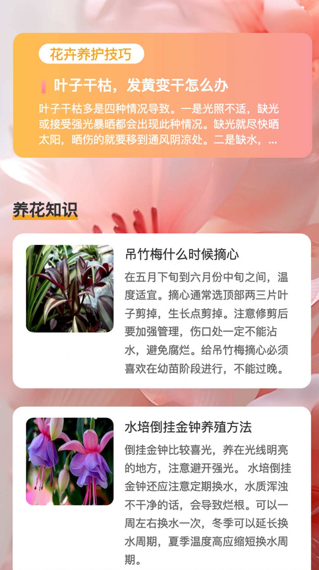 花蕊看看app手机版下载 v1.0.1