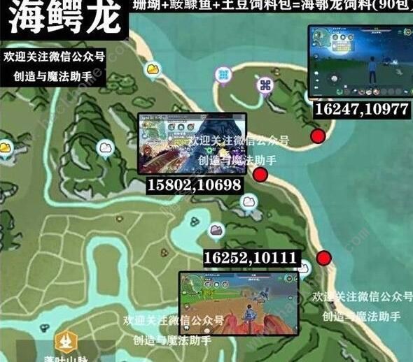 创造与魔法愈海龙位置攻略 愈海龙捕捉技巧汇总图片2