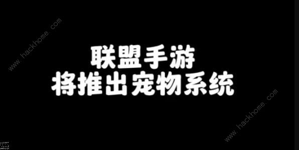 英雄联盟手游宠物怎么获得 lol宠物获取攻略图片1