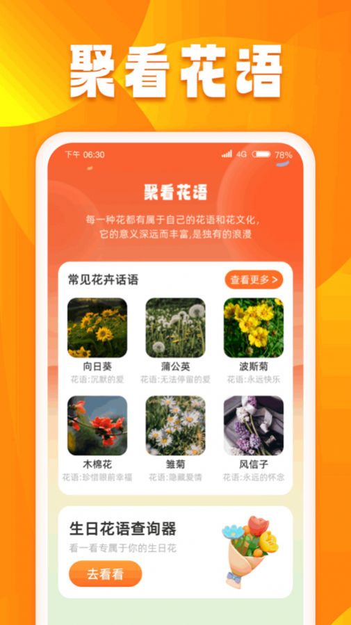 口袋聚看安卓手机版下载 v1.0.1