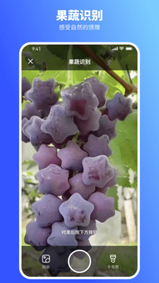 欢喜扫描王识别app官方下载 v1.0.0