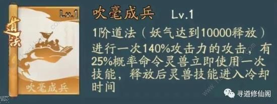 寻道大千闪避应龙流怎么搭配 闪避应龙流进阶版技能选择攻略图片4