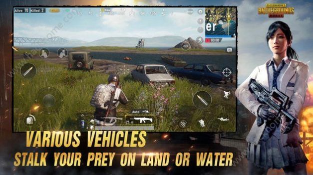 pubg绝地求生刺激战场国际服Livik利维科地图版本 v3.3.0