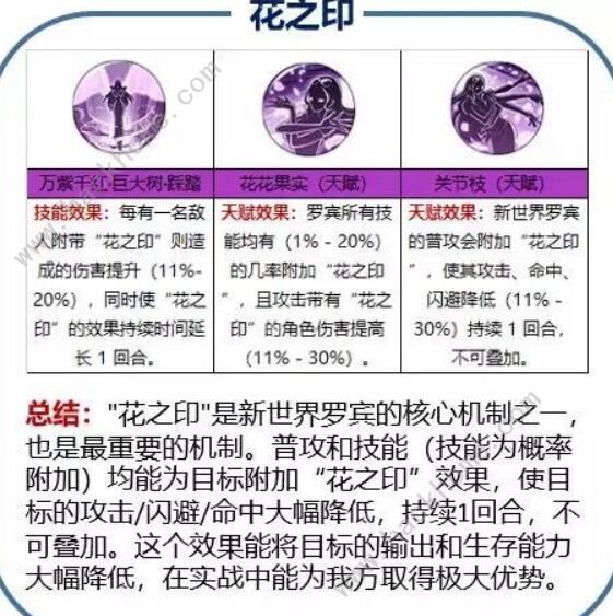 航海王燃烧意志新世界罗宾阵容攻略 新世界罗宾最强阵容详解