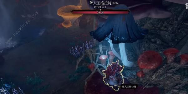 博德之门3魔索布莱城之影怎么得 魔索布莱城之影获取攻略图片6