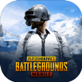 PUBG M(国际服)2.1.0官方下载最新版 v3.3.0