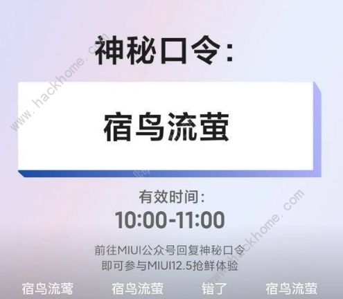 MIUI12.5申请码大全 MIUI12.5内测申请码口令总汇图片2