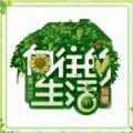 向往的生活官网手机版游戏 v1.6.1.700