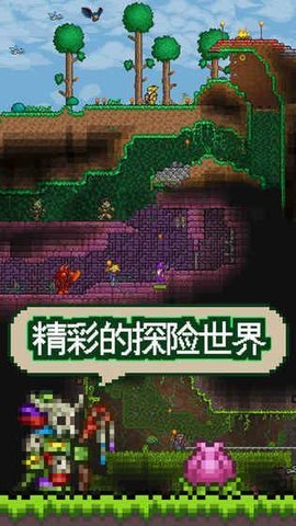 泰拉瑞亚1.3.0.7.3国际版全物品存档更新版 v1.4.4.0