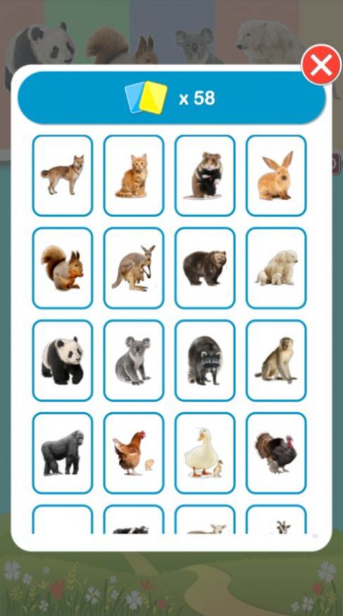 动物学习卡pro app最新版 v1.5.4
