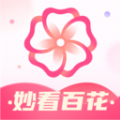 妙看百花软件手机版下载 v1.0.0