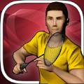 Real Badminton免费安卓版下载 v1.3