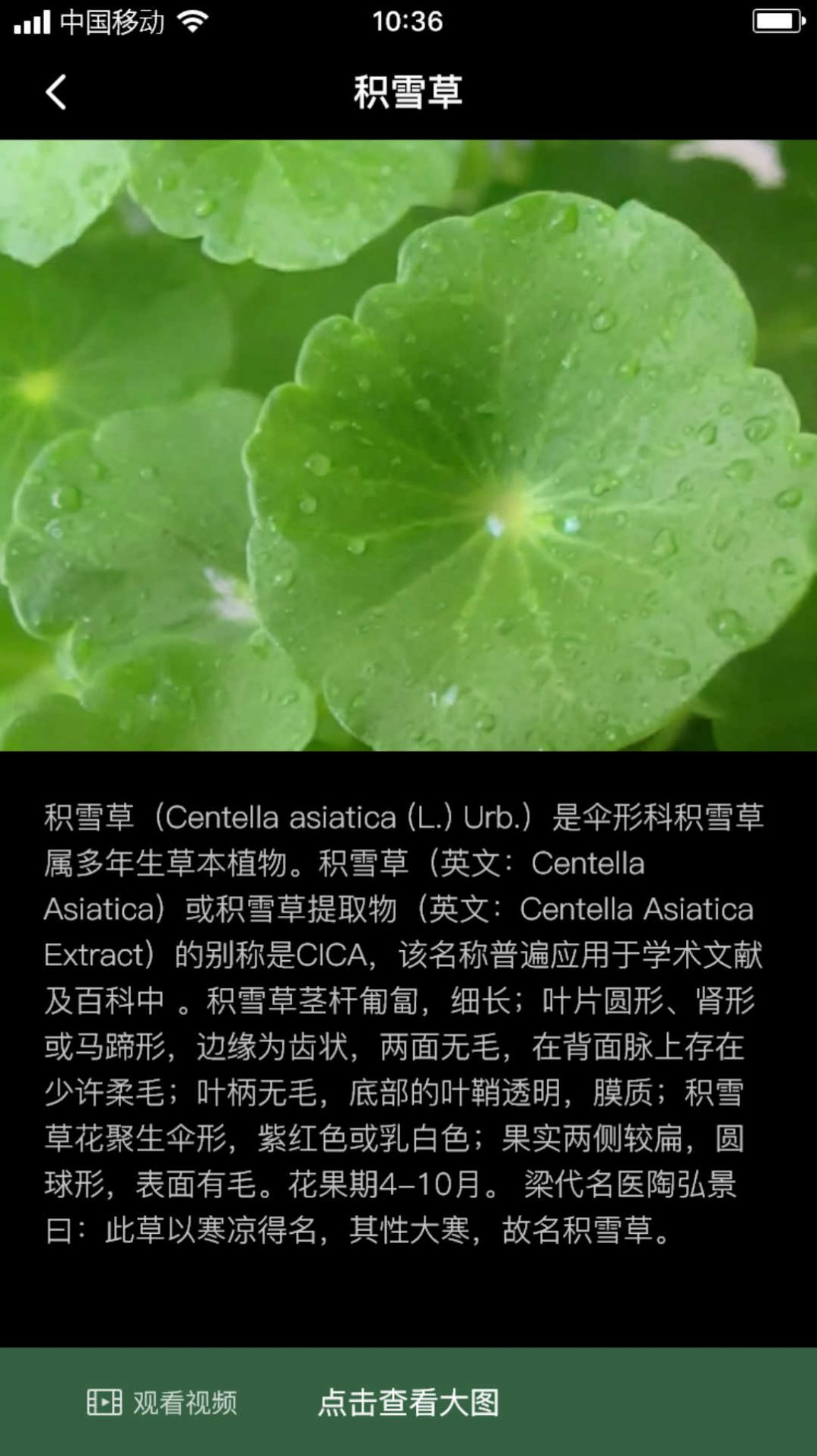 积学草植物知识软件下载 v1.0.0