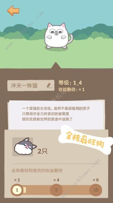 狗的猫林攻略大全 新手少走弯路技巧总汇图片2