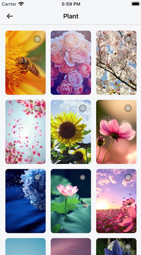 Do Wallpapers壁纸app高清版下载 v1.0