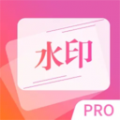 图片去水印精灵app手机版下载 v1.0