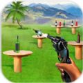 射击瓶子特训游戏安卓最新版（Bottle Shooter Expert） v2.9