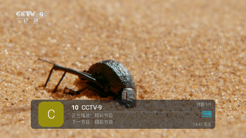 芸汐TV修改版软件免费下载 v9.9.9