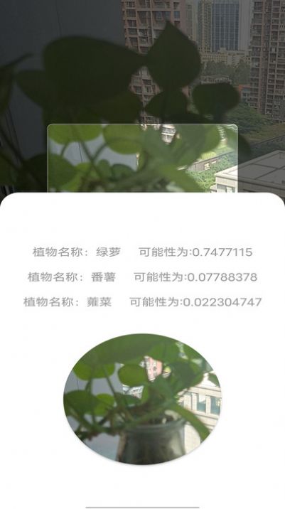 拍照识别植物弛意版官方手机版下载图片1