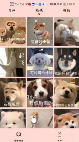 汉克狗app最新版下载安装 v1.0