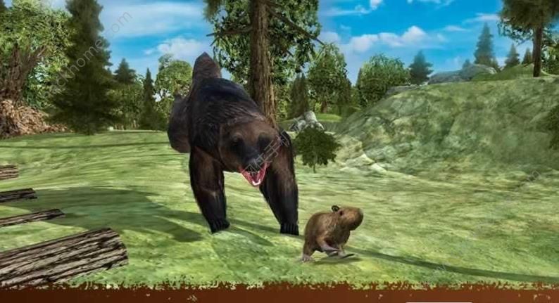 小熊模拟器最新安卓版（Wolverine Animal Simulator） v1.9.5.1