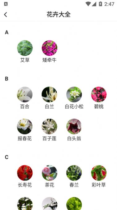 即有花app手机版图片1