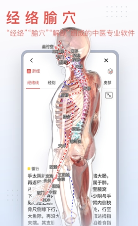 运动功能解刨教学系统app最新版 v1.0.1