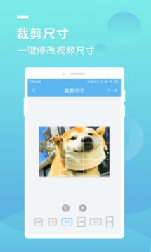 蓝莓去水印app官方下载 v1.0