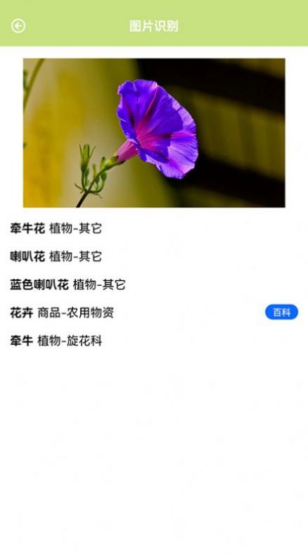 认识植物app手机版下载 v1.1